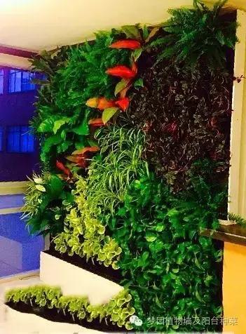 室内植物墙安装效果,室内植物墙有什么优点