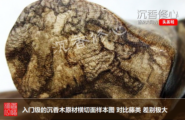 沉香假货为什么不处理,千万别错买假沉香的几个特点