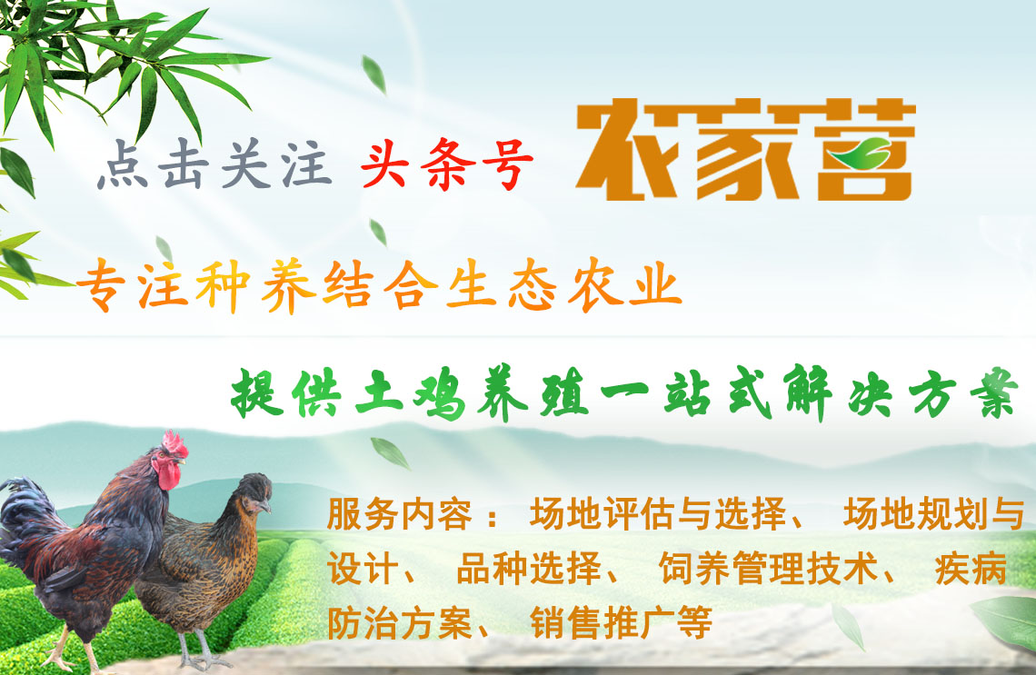 怎么建立农村养殖合作社,农村养殖专业合作社怎么去办