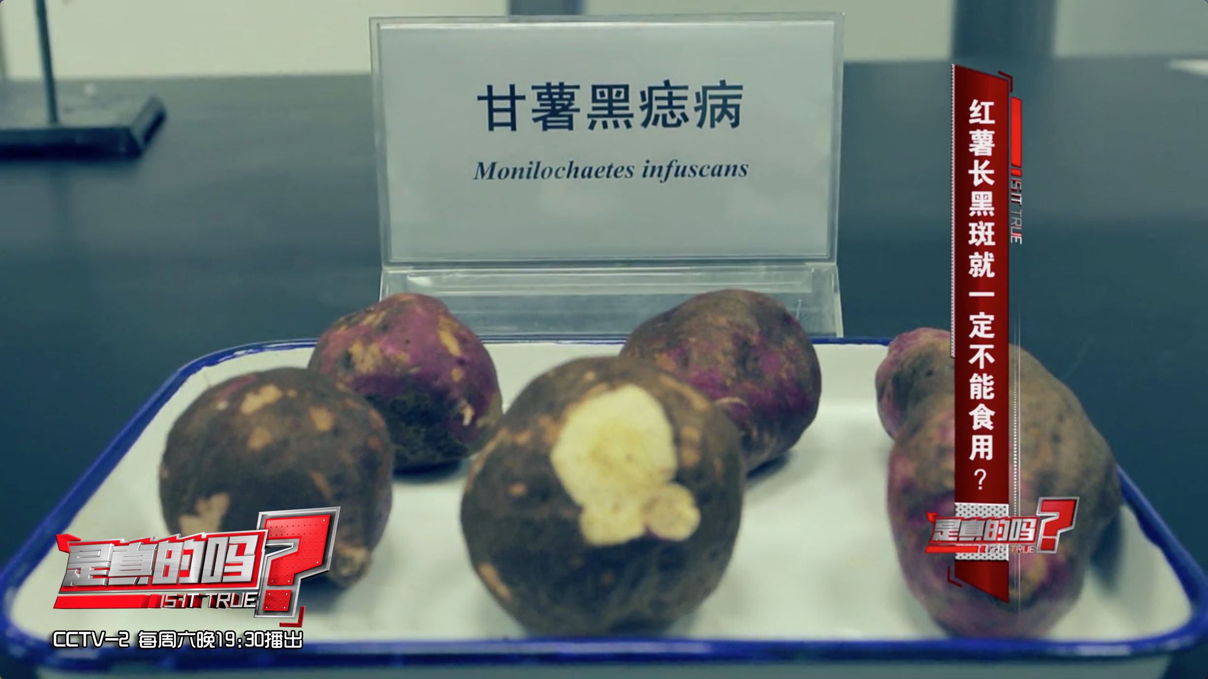 红薯表皮和薯肉有黑斑如何处理,误食黑斑红薯中毒解毒小妙招