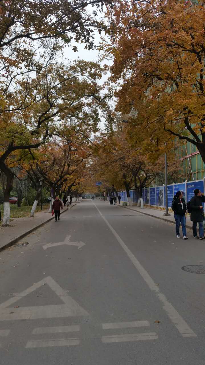 走进北师大,走进京师校园