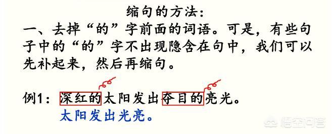 语文有必要上补习班吗,五年级学生不想上补习班怎么办