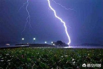 怪物来了躲在家里,怪物来袭小孩危险