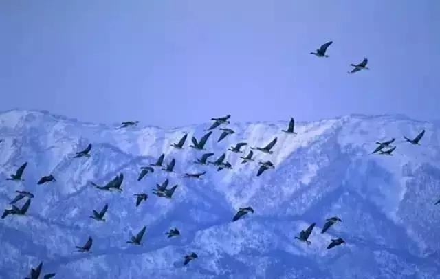 丽江至泸沽湖公路沿途风景,泸沽湖到丽江高速什么时候通车