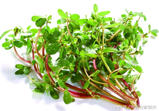 路边有一种草药专治痔疮的,有什么野草治痔疮