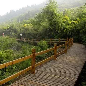 天呐！镇海将拥有宁波最大草坪？还将建宁波唯一