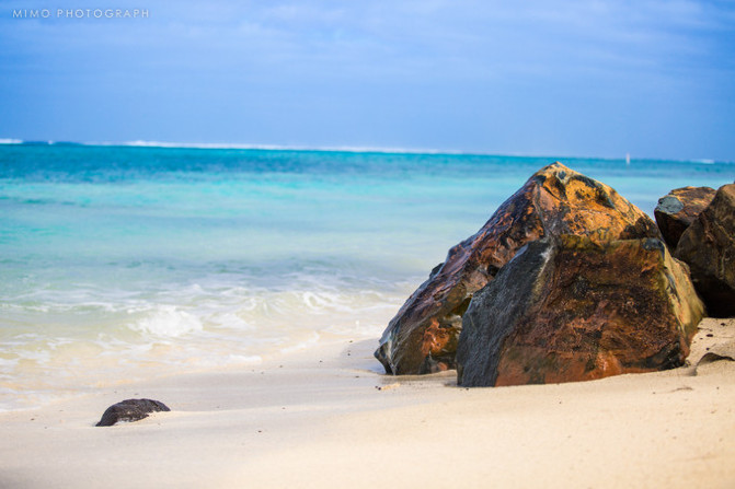库克，上帝最秘密的存在