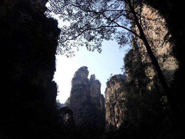 张家界优质导游,张家界良心好评导游