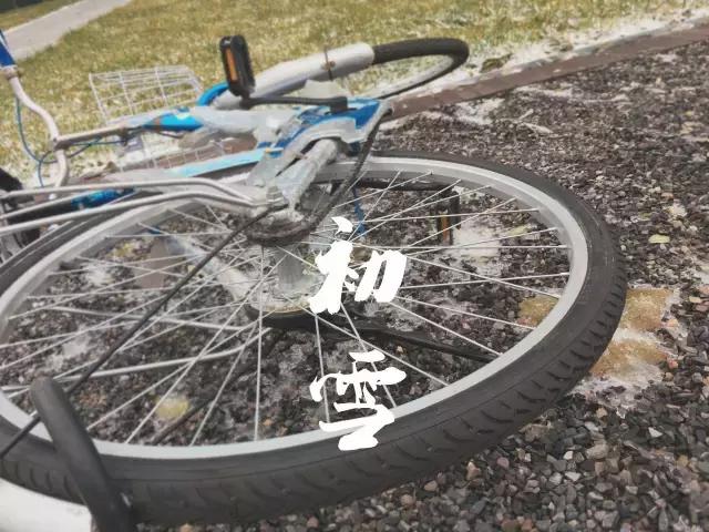 北洋园初雪,北洋初雪