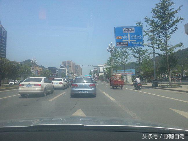 新疆野鹅自驾游视频,野鹅圣诞节自驾游