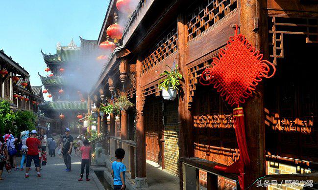 新疆野鹅自驾游视频,野鹅圣诞节自驾游