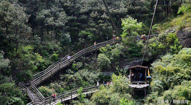 新疆野鹅自驾游视频,野鹅圣诞节自驾游