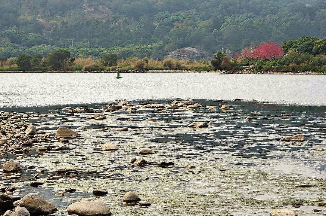 陶姓溯源迁徙图,陶姓的传说故事