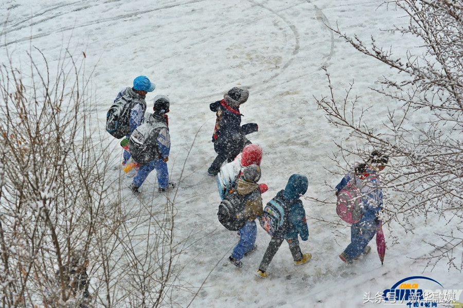 零下40度到底冷吗,零下40度有多冷人不会冻住吗