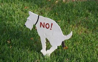 肚子疼就要拉大便是什么原因,肚子疼就要拉肚子