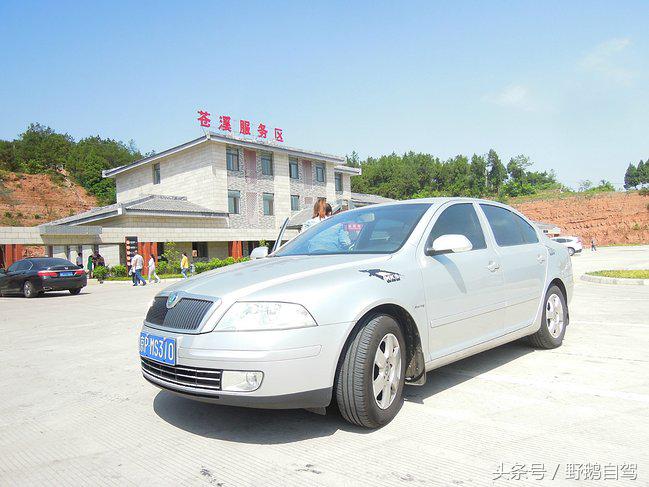 新疆野鹅自驾游视频,野鹅圣诞节自驾游