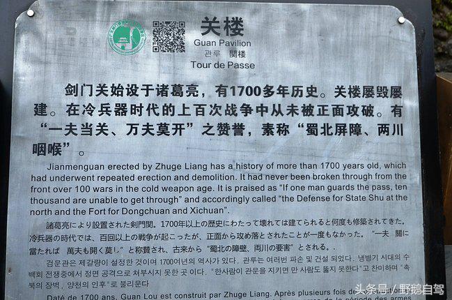 新疆野鹅自驾游视频,野鹅圣诞节自驾游