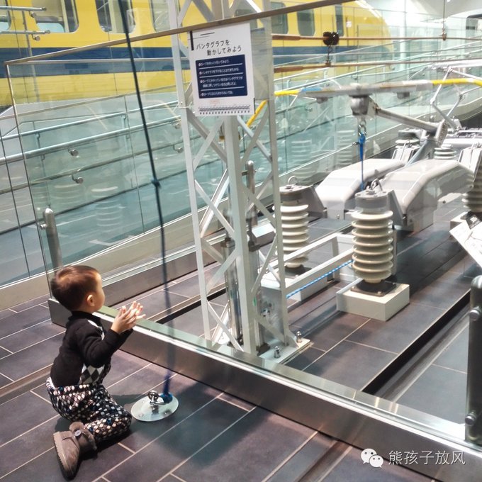 这个冬天我们一起去日本看雪,去日本看雪景哪个地方好