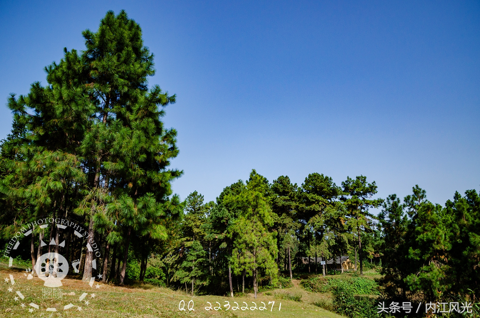 攀越震撼的内江威远高顶寨