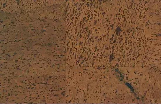 实木地板是不是骗人的,哪种实木地板好且价格低