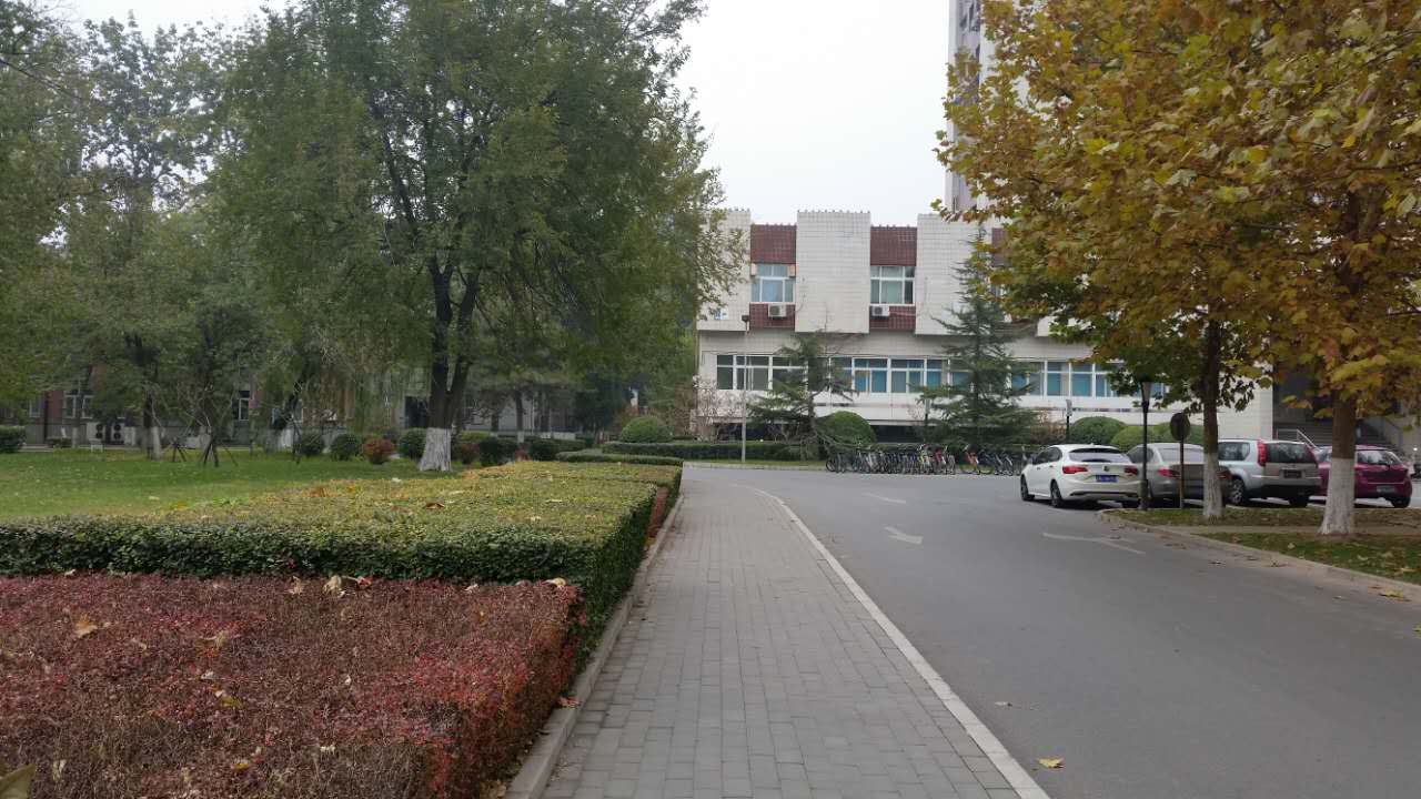 走进北师大,走进京师校园