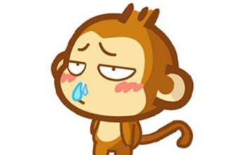 风寒风热感冒同时存在怎么食疗,风热感冒的治疗方法联合用药