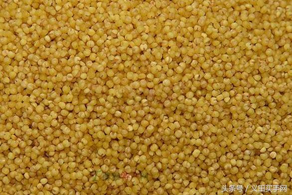 中国地理标志大会视频,国家地理标志产品官方采访