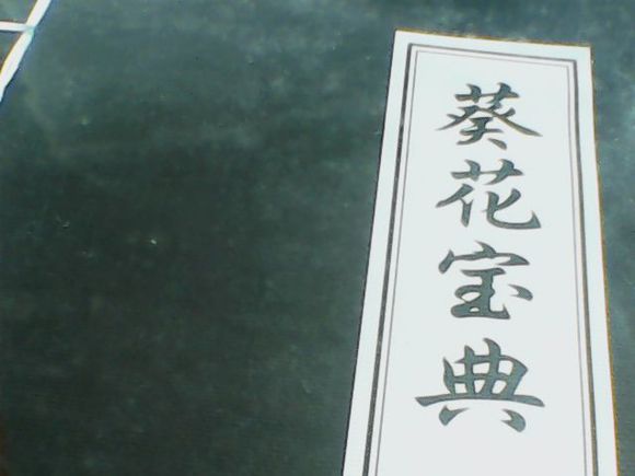 推荐几部泰国经典恐怖片,泰国恐怖片推荐9.0以上评分鬼片