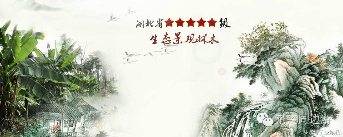 应来之城全景图片,中国湖北应城