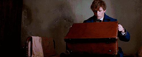 读了麻瓜麻鸡魔法入门，《神奇动物》会好看100倍