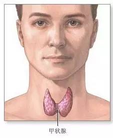 华西专家谈甲状腺,华西医院专家谈甲状腺癌