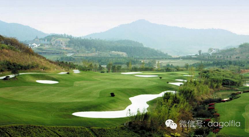 高尔夫优惠团购99元直播,国际高尔夫订场