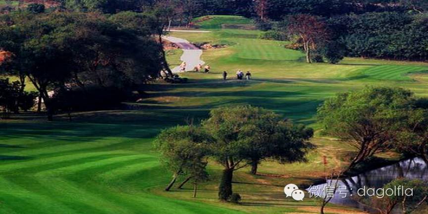 高尔夫球优惠活动,最实惠的高尔夫订场网