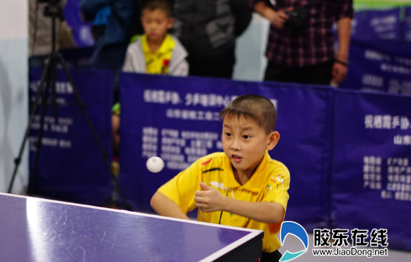 兆敏乒乓球,郑州启航乒乓球训练基地