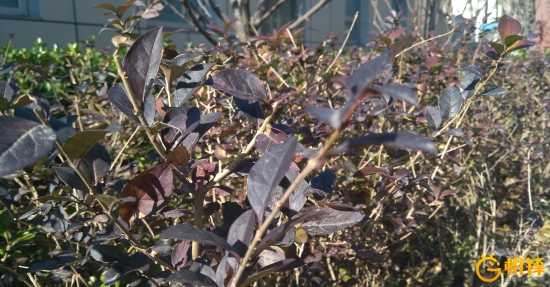 一键省电,一键省电60分钟