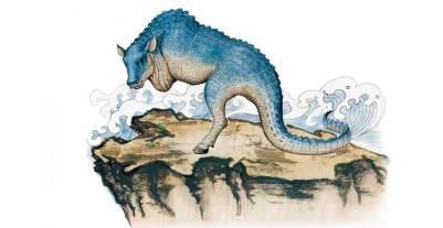 嫌快递太慢,当你们嫌快递慢的时候