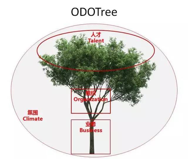 管理者的地图,管理者地图
