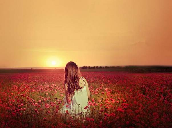 郑州最贵的东西,郑州必买的10件东西