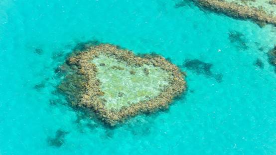 了解这些房产知识买房不怕被忽悠,了解房产常识有哪些