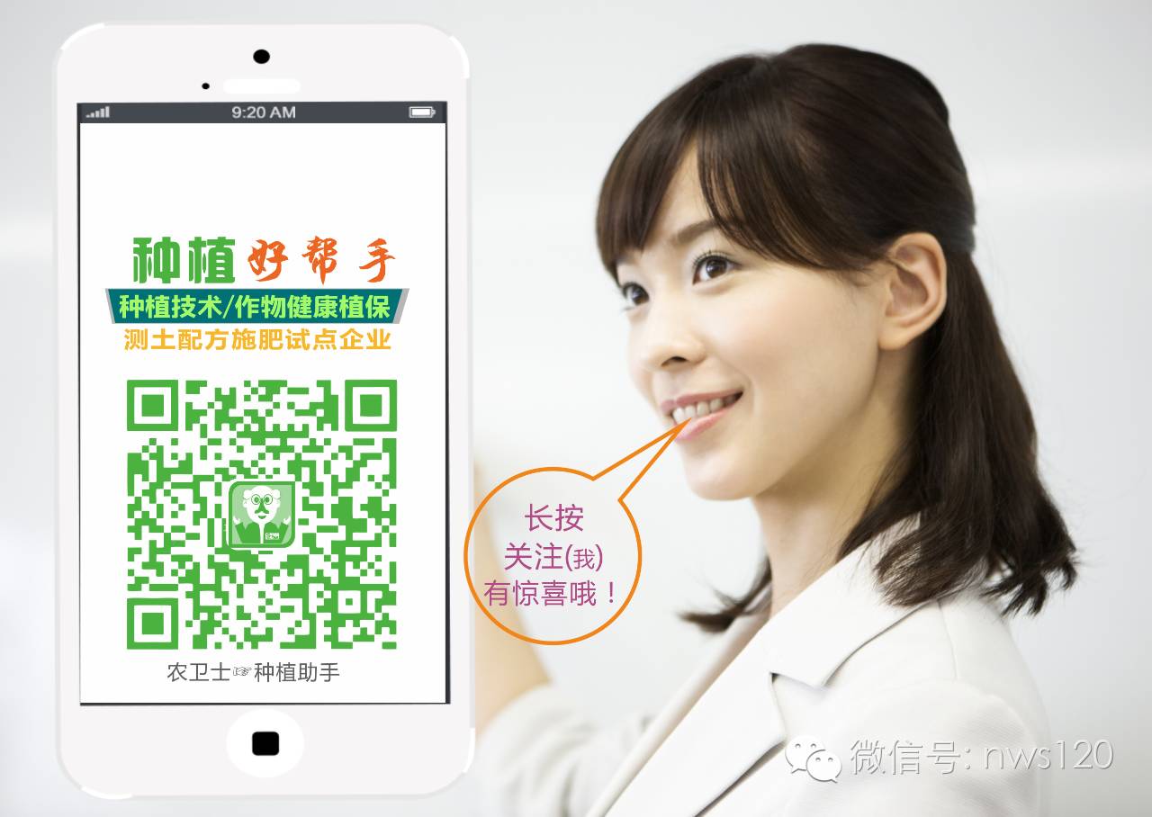 今日钾肥复合肥行情,今日钾肥价格走势图