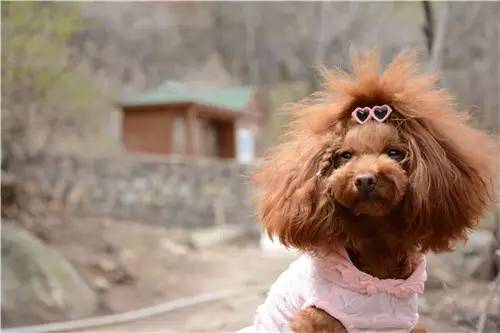 活动回顾｜欧帝亿主题巴士回顾--畅游幽谷神潭