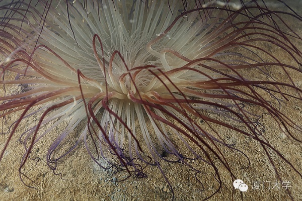 体育微型课游泳,二年级体育公开课攀岩