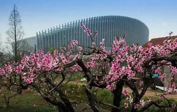 2024奉化的发展,2023年奉化