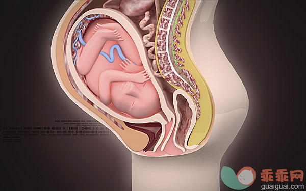 羊水由什么包裹的,羊水早破是由什么原因引起的