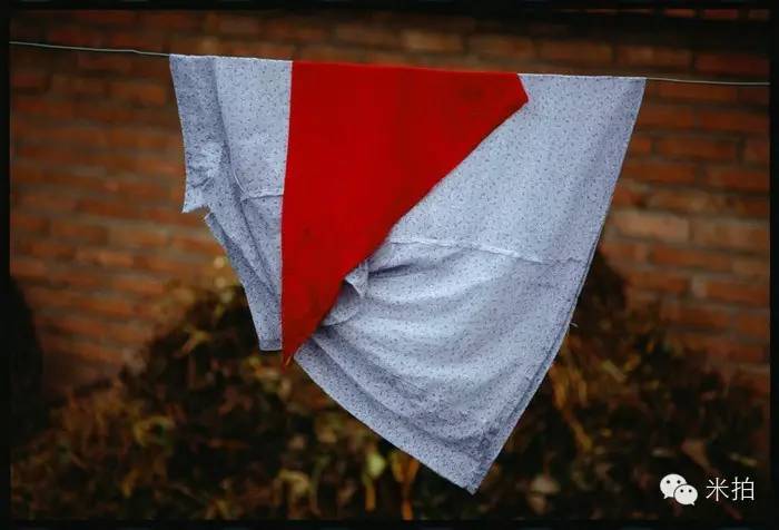 有没有什么学生时代的遗憾,青涩懵懂的青春岁月再也回不去了