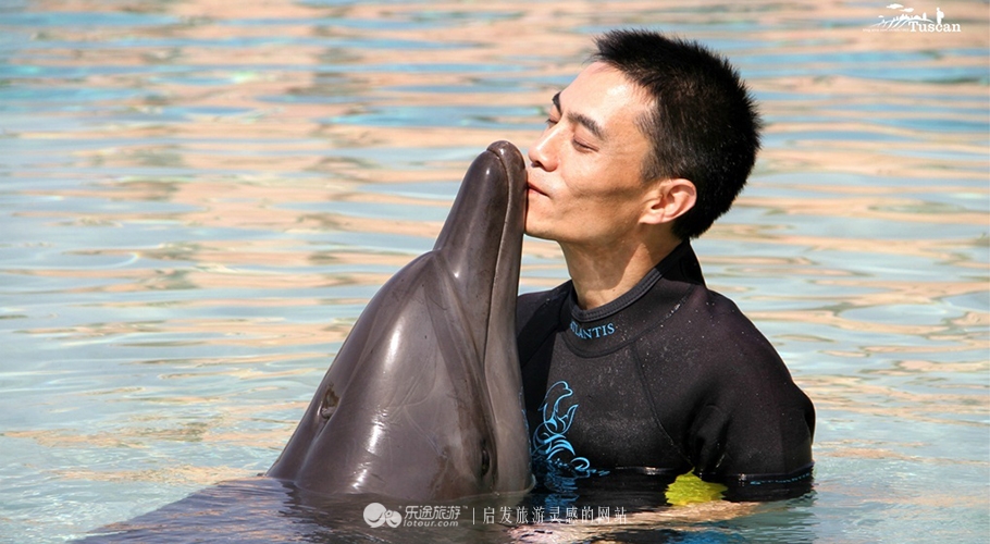 迪拜这个世界上最富的地方,迪拜壕得什么程度