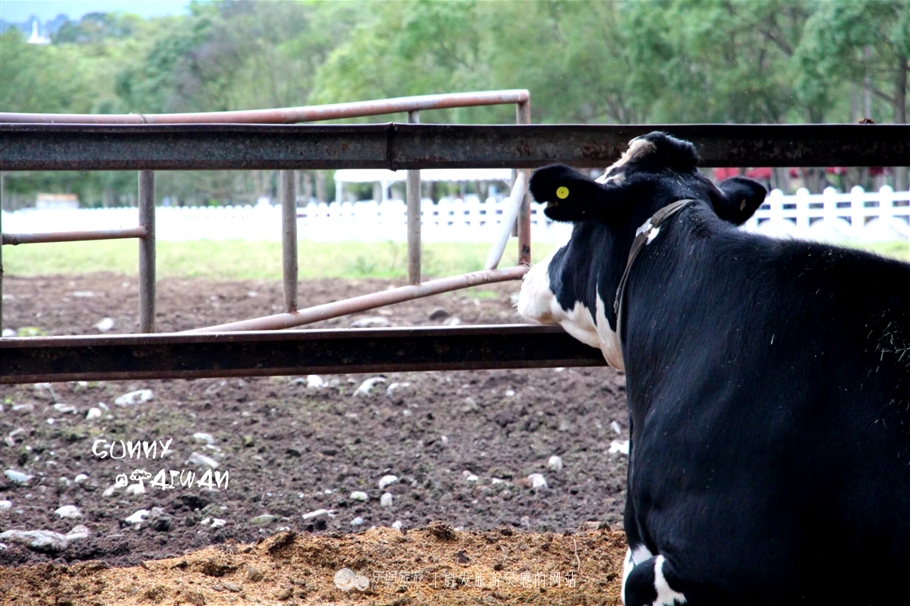 垦丁到花莲旅游攻略一日游,垦丁到高雄一日游攻略路线