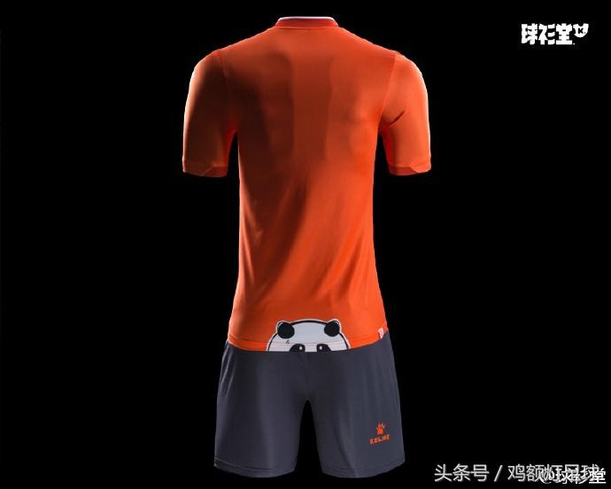 卡尔美中甲联赛,卡尔美亚洲杯球衣