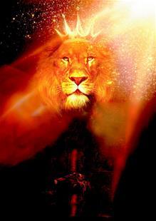 江苏苏宁易购拿过中超冠军吗,江苏苏宁拿过冠军吗