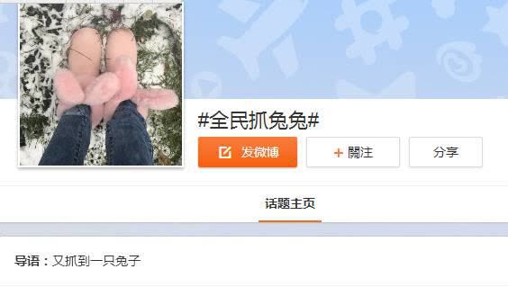 陈乔恩跟袁姗姗,陈乔恩和袁姗姗